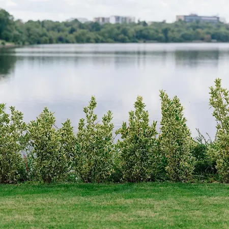 Studio No 5 Lebada Lake Apartment Bucharest